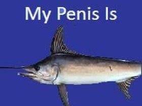 Penis Is