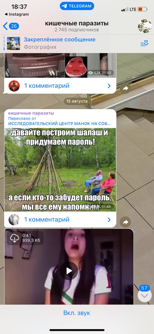 кишечные паразиты про которых я вам писала как про место откуда я очень люблю пиздить картинки 🤤🤤🤤🤤🤤🤤🤤