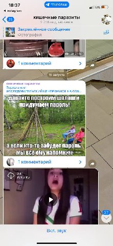кишечные паразиты про которых я вам писала как про место откуда я очень люблю пиздить картинки 🤤🤤🤤🤤🤤🤤🤤