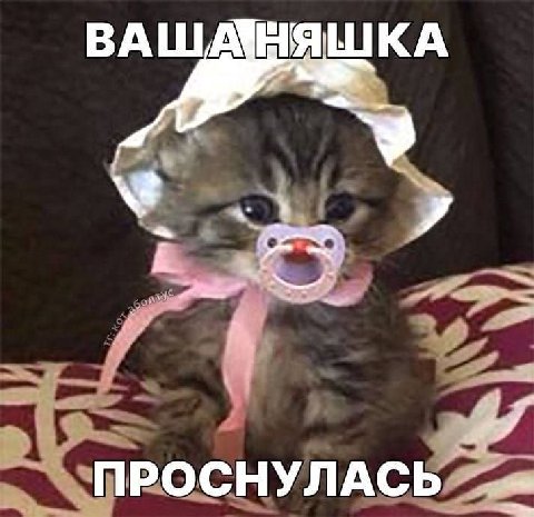 ВАШАНЯШКА ПРОСНУЛАСЬ