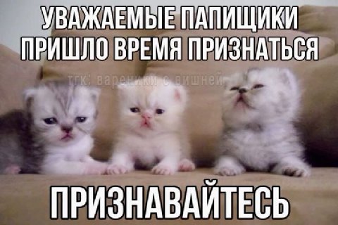 'УВАЖАЕМЫЕ ПАПИЩИКИ ПРИШЛО ВРЕМЯ ПРИЗНАТЬСЯ 4 ПРИЗНАВАИТЕСЬ