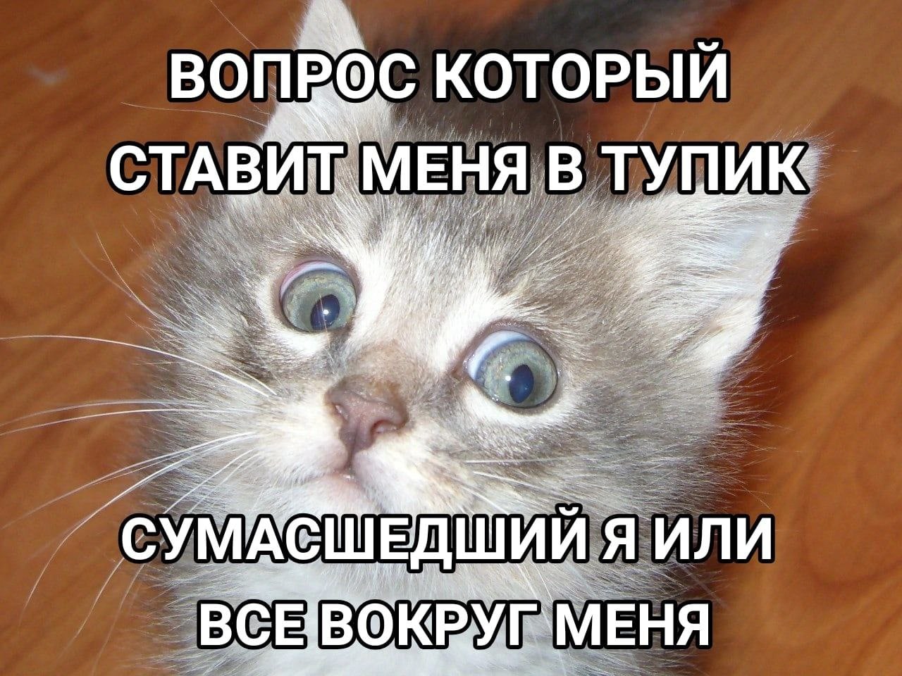 ВОПРОС КОТОРЫЙ СТАВИ МЕНЯ В ТУПИК ШИИ Я ИЛИ ШЕД BCEIBO КВУГ`МЕНЯ