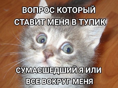 ВОПРОС КОТОРЫЙ СТАВИ МЕНЯ В ТУПИК ШИИ Я ИЛИ ШЕД BCEIBO КВУГ`МЕНЯ
