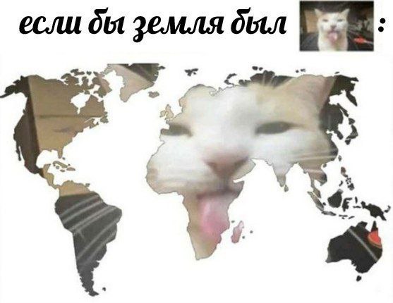 если земля