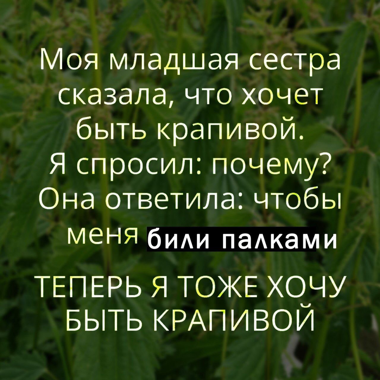 Моя младшая сестра сказала, что хочет быть крапивой. Я спросил: почему? Она ответила: чтобы меня били палками ТЕПЕРЬ Я ТОЖЕ ХОЧУ БЫТЬ КРАПИВОЙ