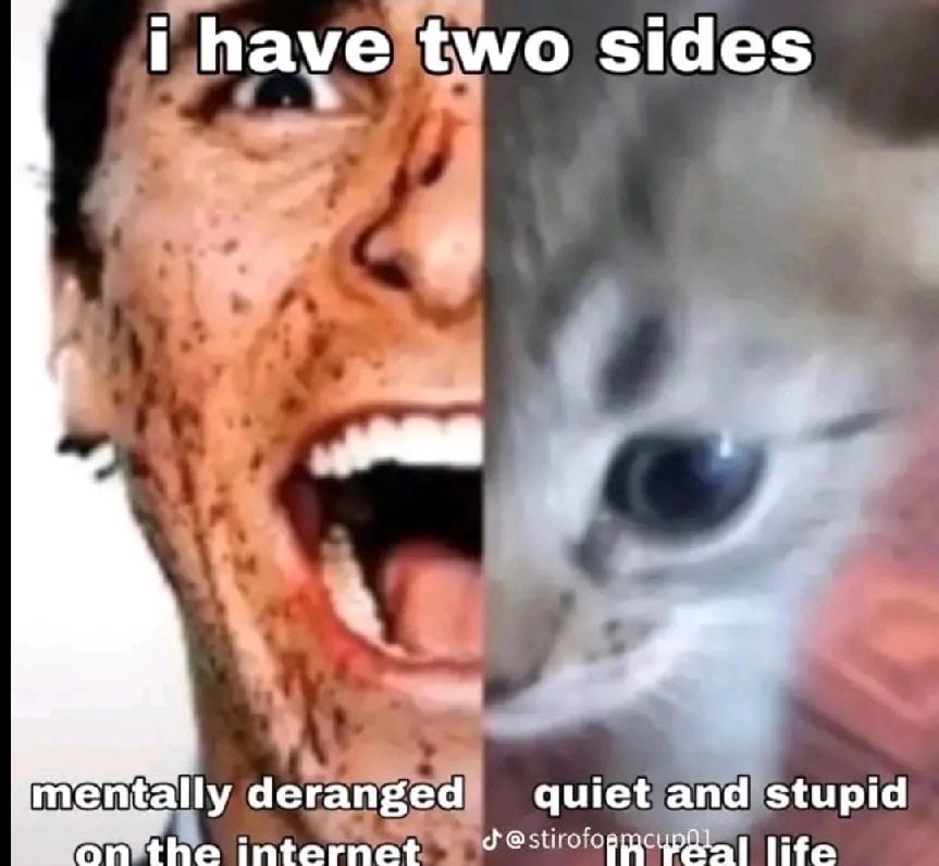 have two sides у mentally deranged quiet and stupid internet life