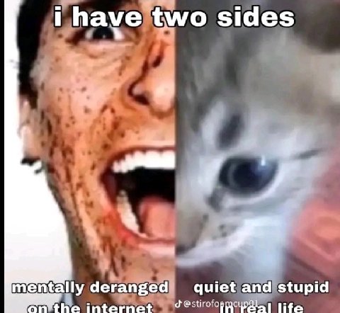 have two sides у mentally deranged quiet and stupid internet life