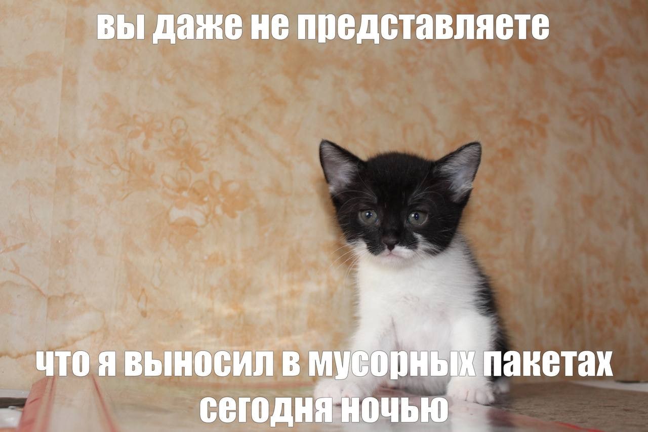ВЫ Даже HE представляете выносил В пакетах сегодня Ночью