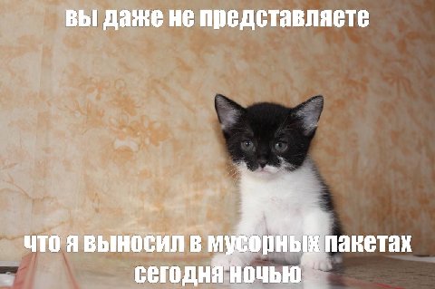 ВЫ Даже HE представляете выносил В пакетах сегодня Ночью