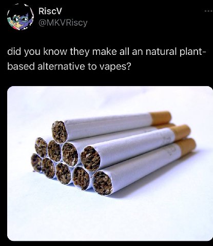 RiscV @MKVRiscy did you know they make all an natural plant- based alternative to vapes?