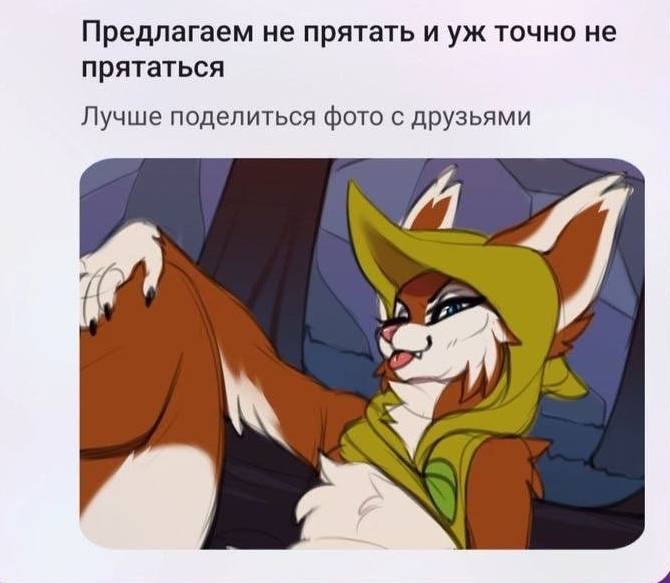 Предлагаем не прятать и точно не прятаться Лучше поделиться фото с друзьями