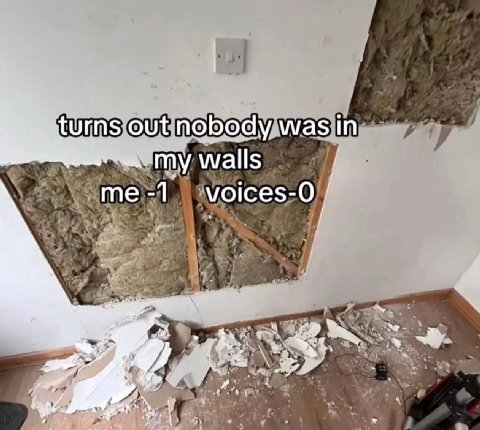 turns out nobody was walls me -1 voices-O