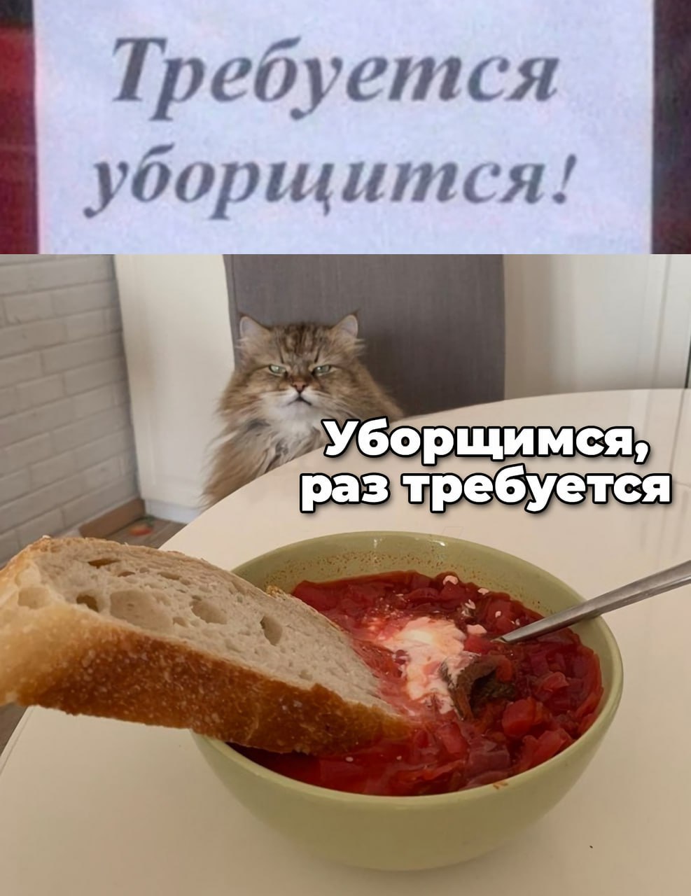 Требуется уборщится!