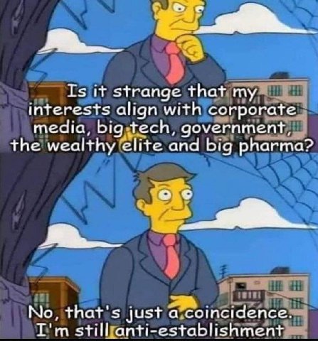 Is it strange that my interests align with corporate media, big tech, government, the wealthy elite and big pharma? о No, that's just а coincidence. still anti-establishment