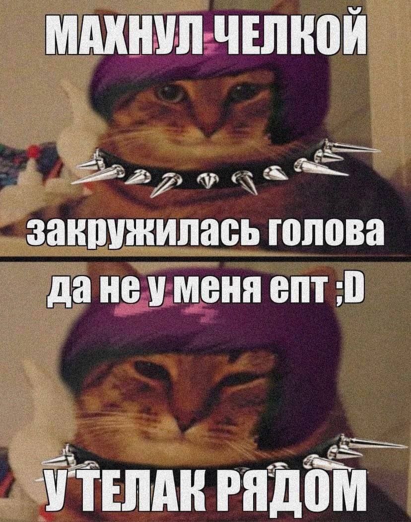 МАХНУЛ ЧЕЛКОИ закружилась голова дане уменя епт УТЕЛАК РЯДОМ