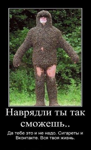 Наврядли ты Tak сможещь.. Да тебе это и не надо. Сигареты и Вконтакте. Вся твоя жизнь.