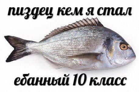 Я стал пиздец кем we 10 класс