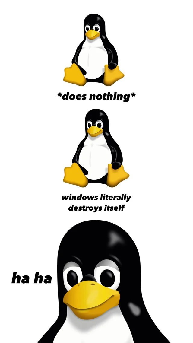 *does nothing* windows literally destroys itself