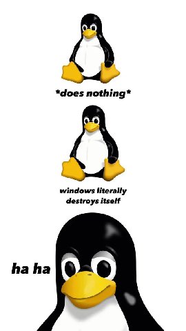 *does nothing* windows literally destroys itself