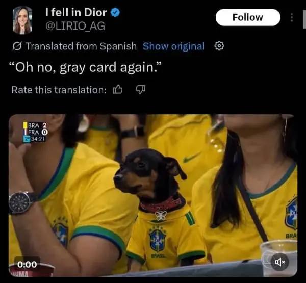 Dior @LIRIO_AG Translated from Spanish Show original no, gray card again.” Rate this translation: К