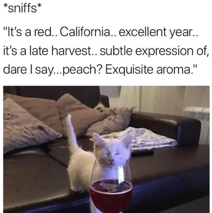 *sniffs* "It's a red.. California.. excellent year.. it's a late harvest.. subtle expression of, dare say...peach? Exquisite aroma."