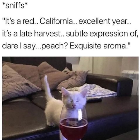 *sniffs* "It's a red.. California.. excellent year.. it's a late harvest.. subtle expression of, dare say...peach? Exquisite aroma."