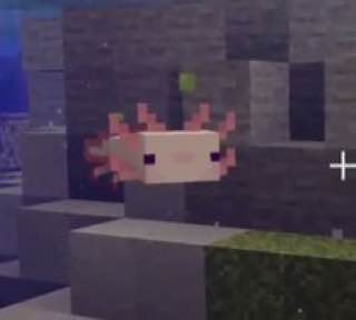 fii 4