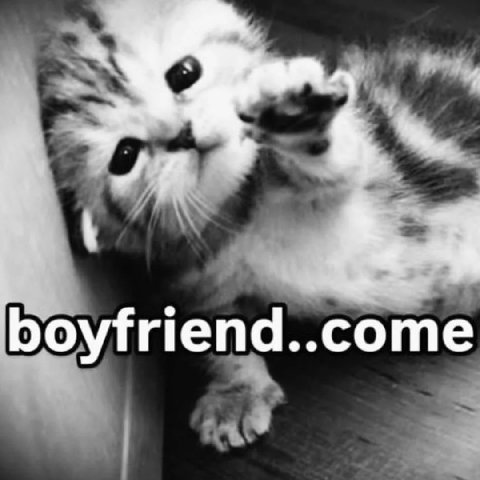 boyfriend..come