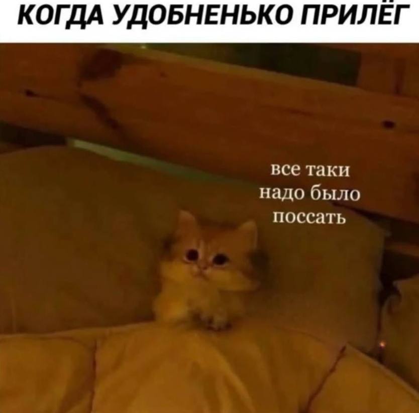 КОГДА УДОБНЕНЬКО ПРИЛЕГ все таки надо было поссать