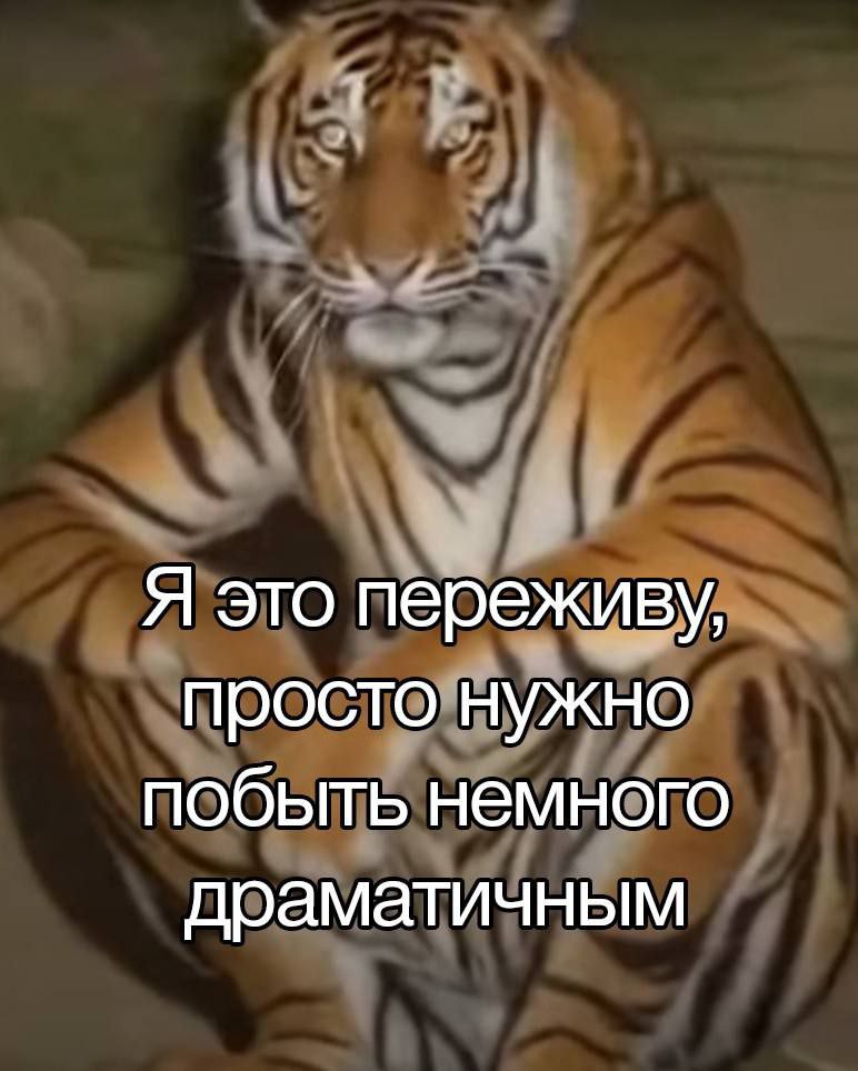 Я это переживу, просто нужно побыть немного драматичным