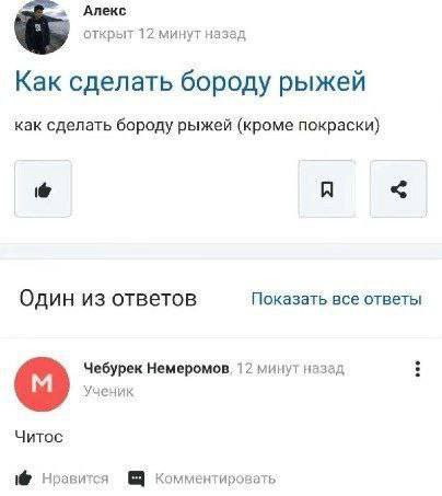 Алекс открыт назад Как сделать бороду рыжей как сделать бороду рыжей (кроме покраски) A Один из ответов Показать все ответы Чебурек Немеромов. 12 минут назад Ученик Читос Нравится а Комментировать