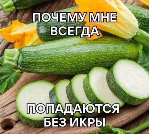 👤 - -