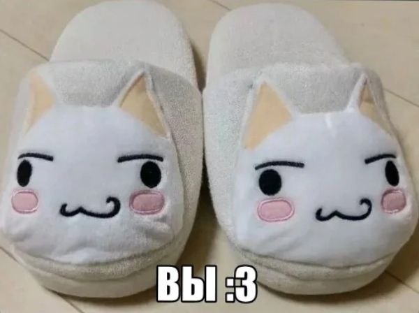 ВЫ :3