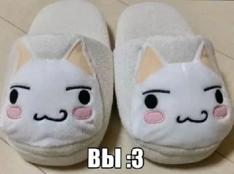 ВЫ :3