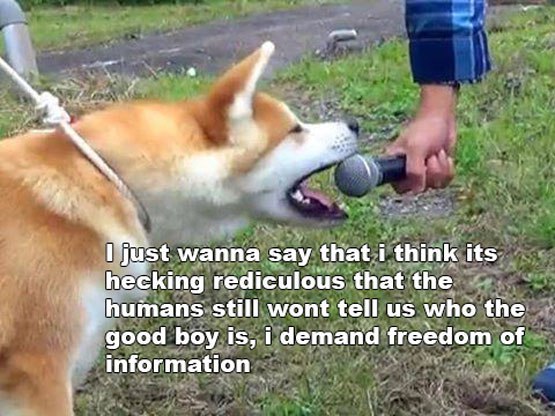 at i think wanna say that i think its rediculous that the still wont tell who the good boy is, i demand freedom of information