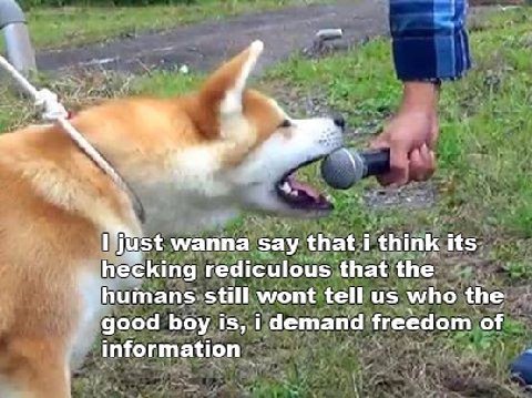 at i think wanna say that i think its rediculous that the still wont tell who the good boy is, i demand freedom of information