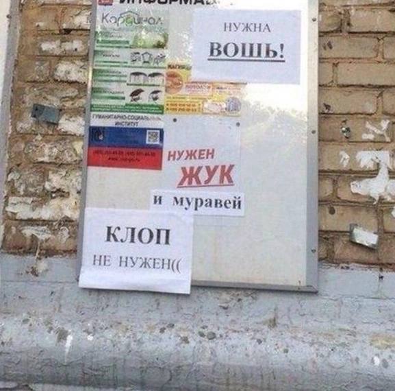НУЖНА BOLIb! НУЖЕН и муравей КЛОП НЕ НУЖЕН(