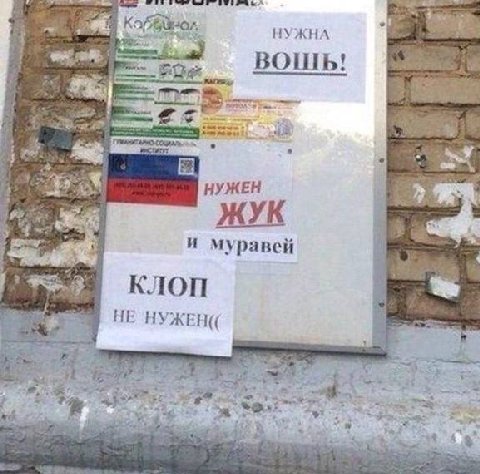 НУЖНА BOLIb! НУЖЕН и муравей КЛОП НЕ НУЖЕН(
