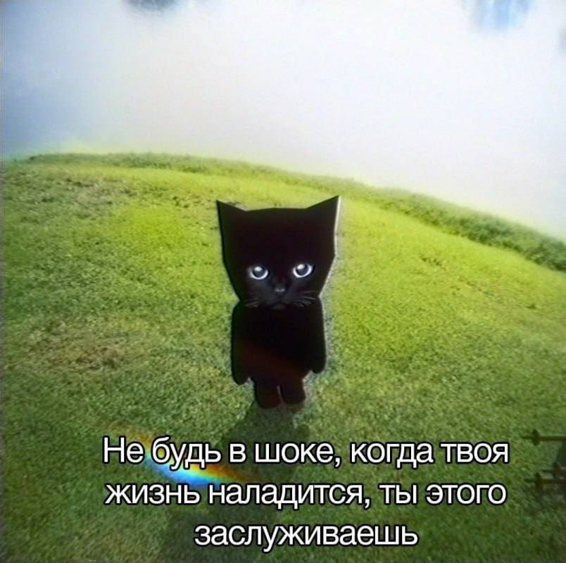 i шоке, Когда жизнь наладится, ты этого заслуживаешь