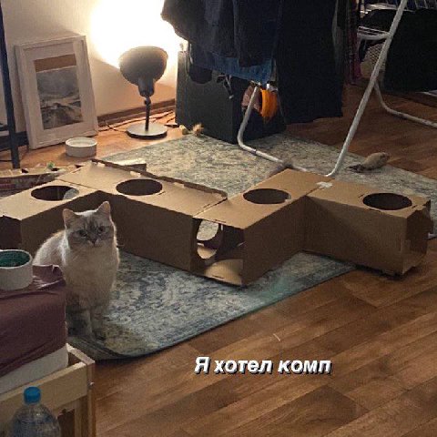 Я хотел комп