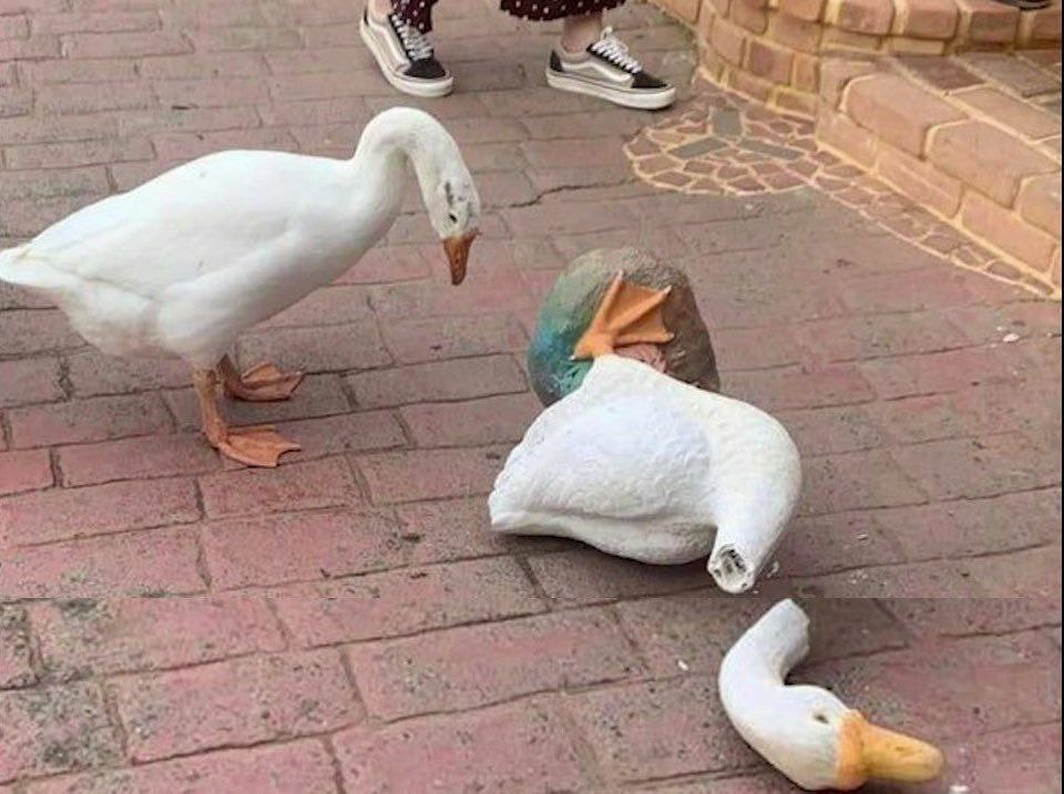 у 7 A A 2 ian 4 a В 4