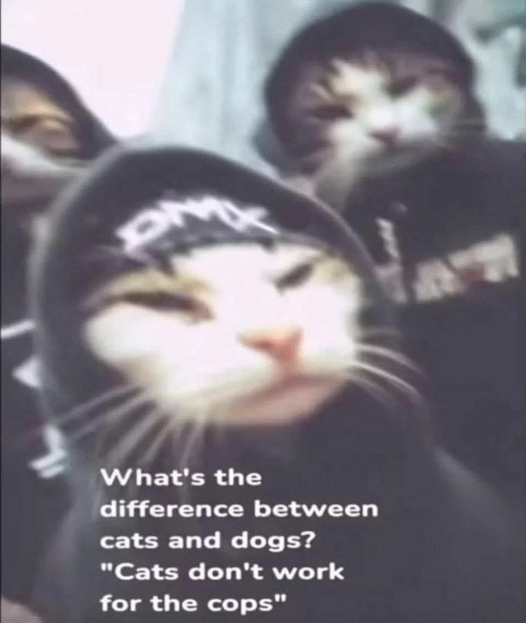 \МУКа*' the difference between cats and dogs? "Cats don't work for the cops"