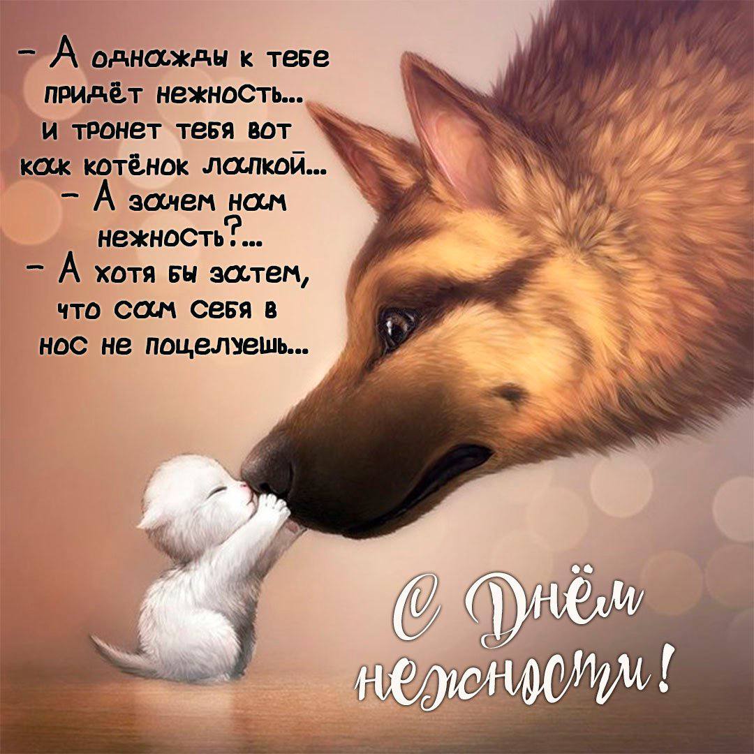 А к нежность... тронет тебя вот Кок зочем HOLM нежность. А хотя Бы зостем, 4TO СОМ В нос не HE,