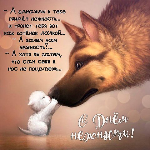 А к нежность... тронет тебя вот Кок зочем HOLM нежность. А хотя Бы зостем, 4TO СОМ В нос не HE,