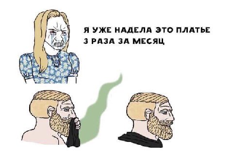 Я УЖЕ НАДЕЛА ЭТО ПЛАТЬЕ ЗРАЗА ЗА МЕСЯЦ a