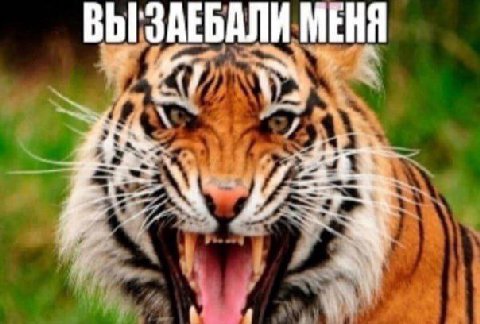 МЕНЯ