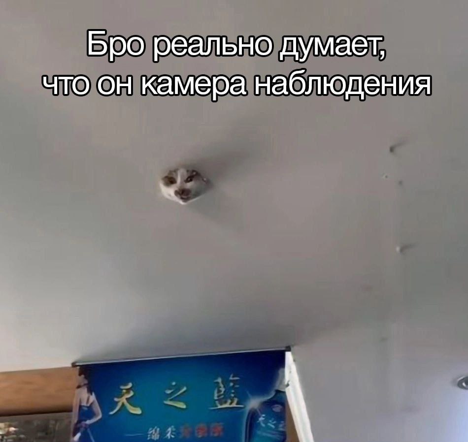 Бро реально думает, что он камера наблюдения