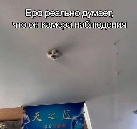 Бро реально думает, что он камера наблюдения