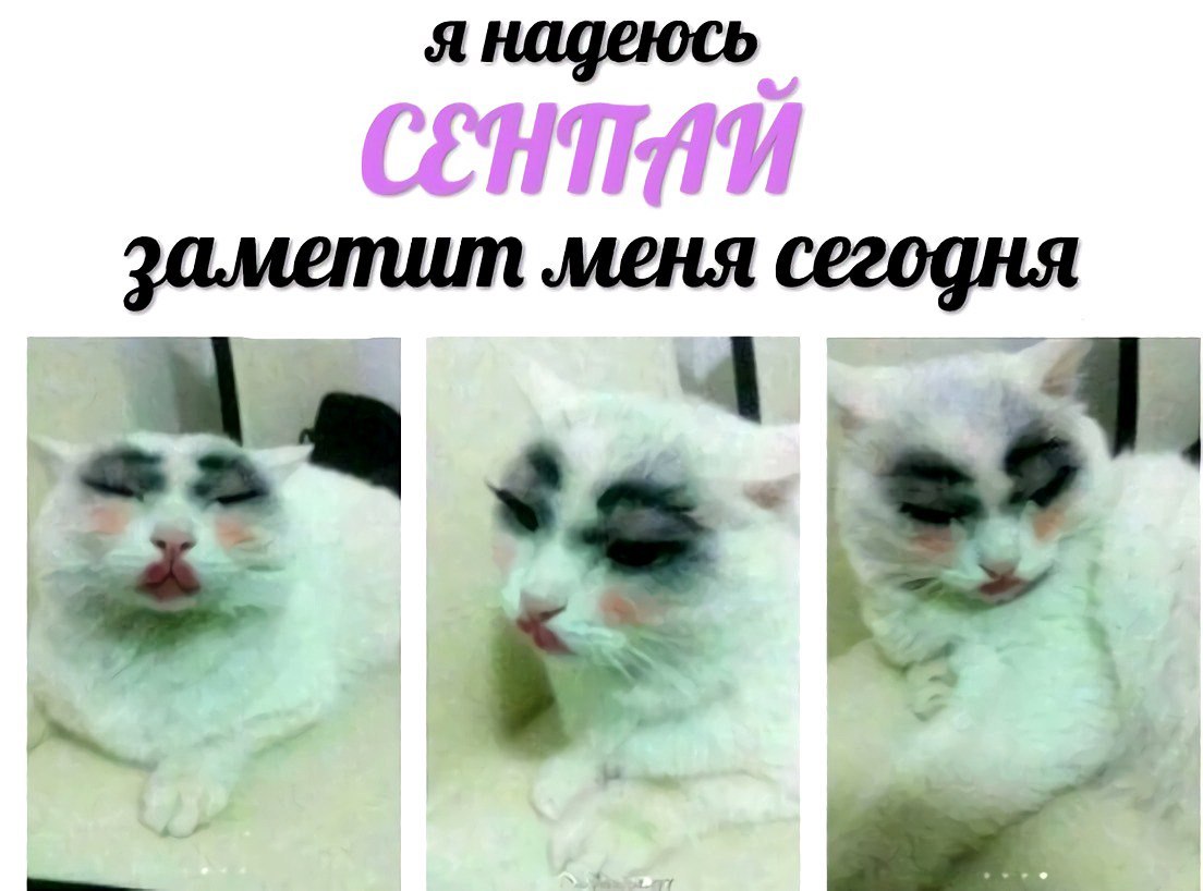 я надеюсь заметит меня сегодня К