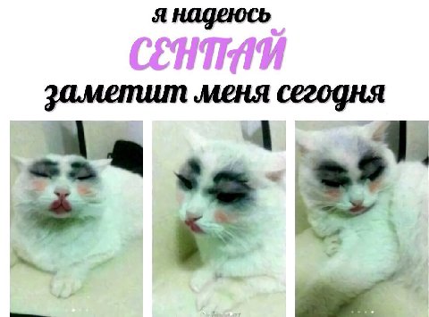 я надеюсь заметит меня сегодня К
